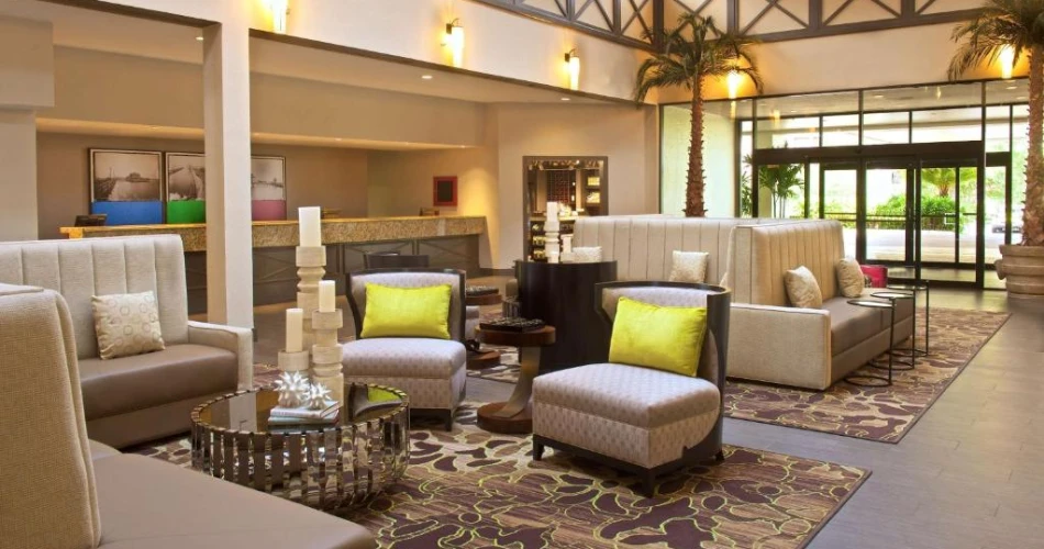 Score Big on Stays: Best Hotels Near Raymond James Stadium for Visitors