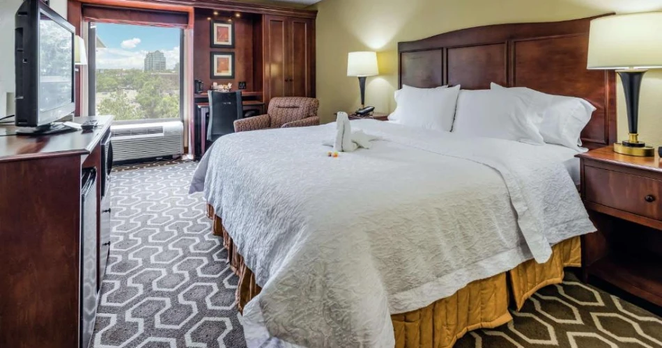 Score Big on Stays: Best Hotels Near Raymond James Stadium for Visitors