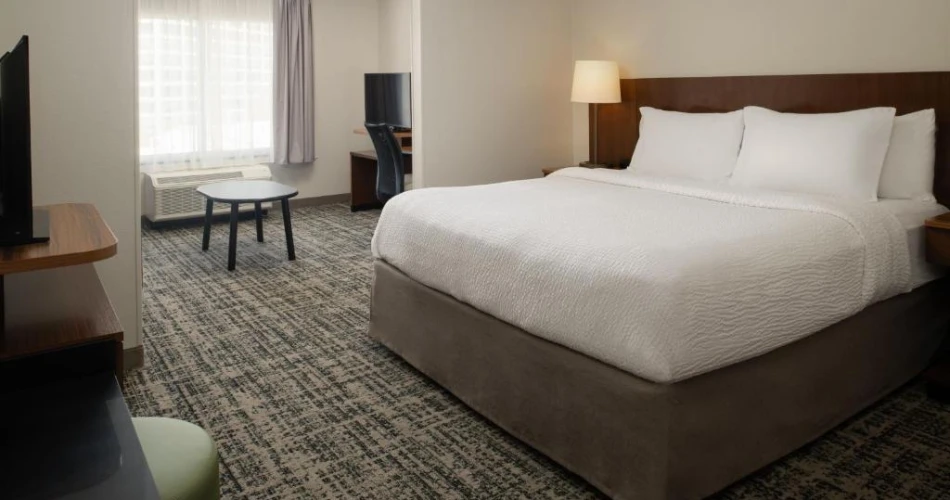 Score Big on Stays: Best Hotels Near Raymond James Stadium for Visitors