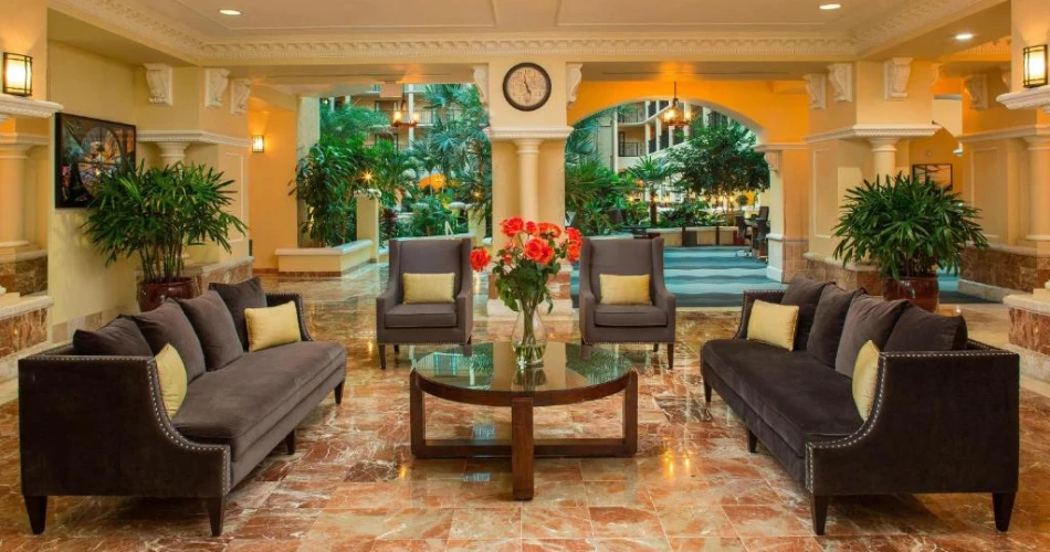 Best Hotels Near Raymond James Stadium – Your Ultimate Stay Guide