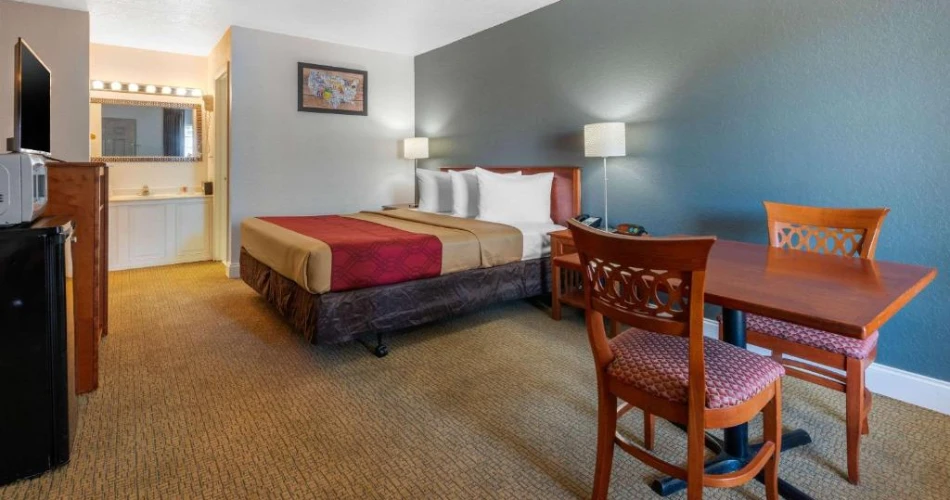 Best Hotels Near Raymond James Stadium – Your Ultimate Stay Guide