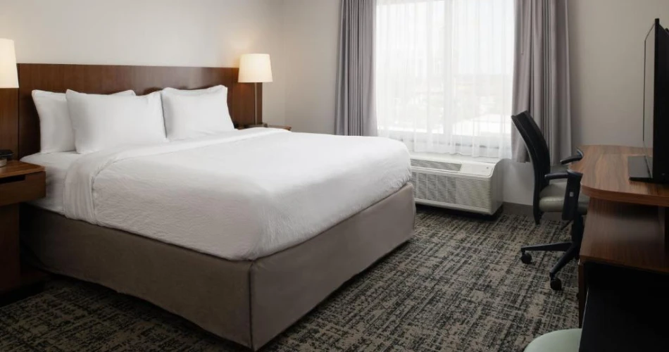 Best Hotels Near Raymond James Stadium – Your Ultimate Stay Guide
