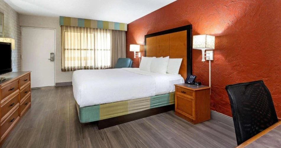 Discover Tampa's Top Hotels Around Raymond James Stadium