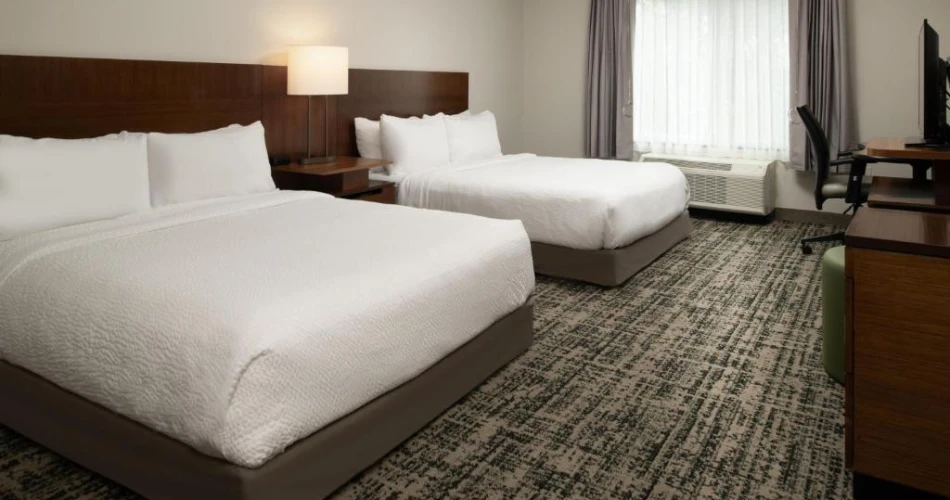 Discover Tampa's Top Hotels Around Raymond James Stadium
